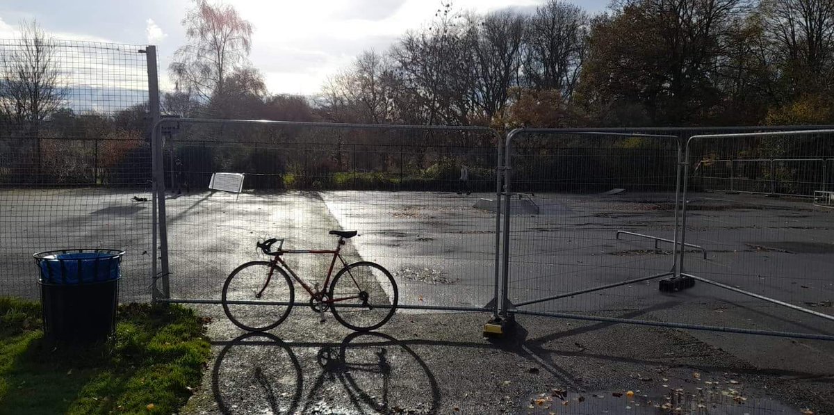 Lewis Goldman tweet media