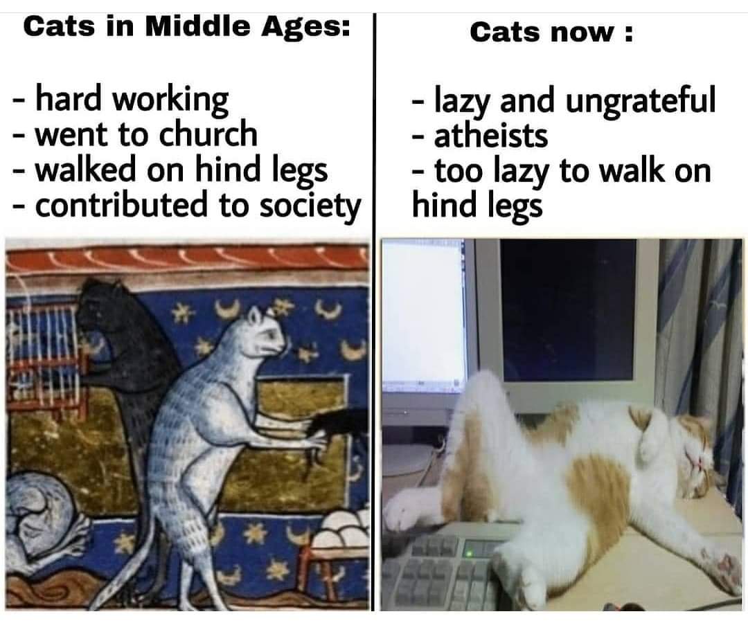 TEAMCoEvolution's tweet image. What about the #Feline #Cat #Beings from outer #Space ?✨🪐✨
Have any of you met them like med in my last life?✌️🦁👽♥️