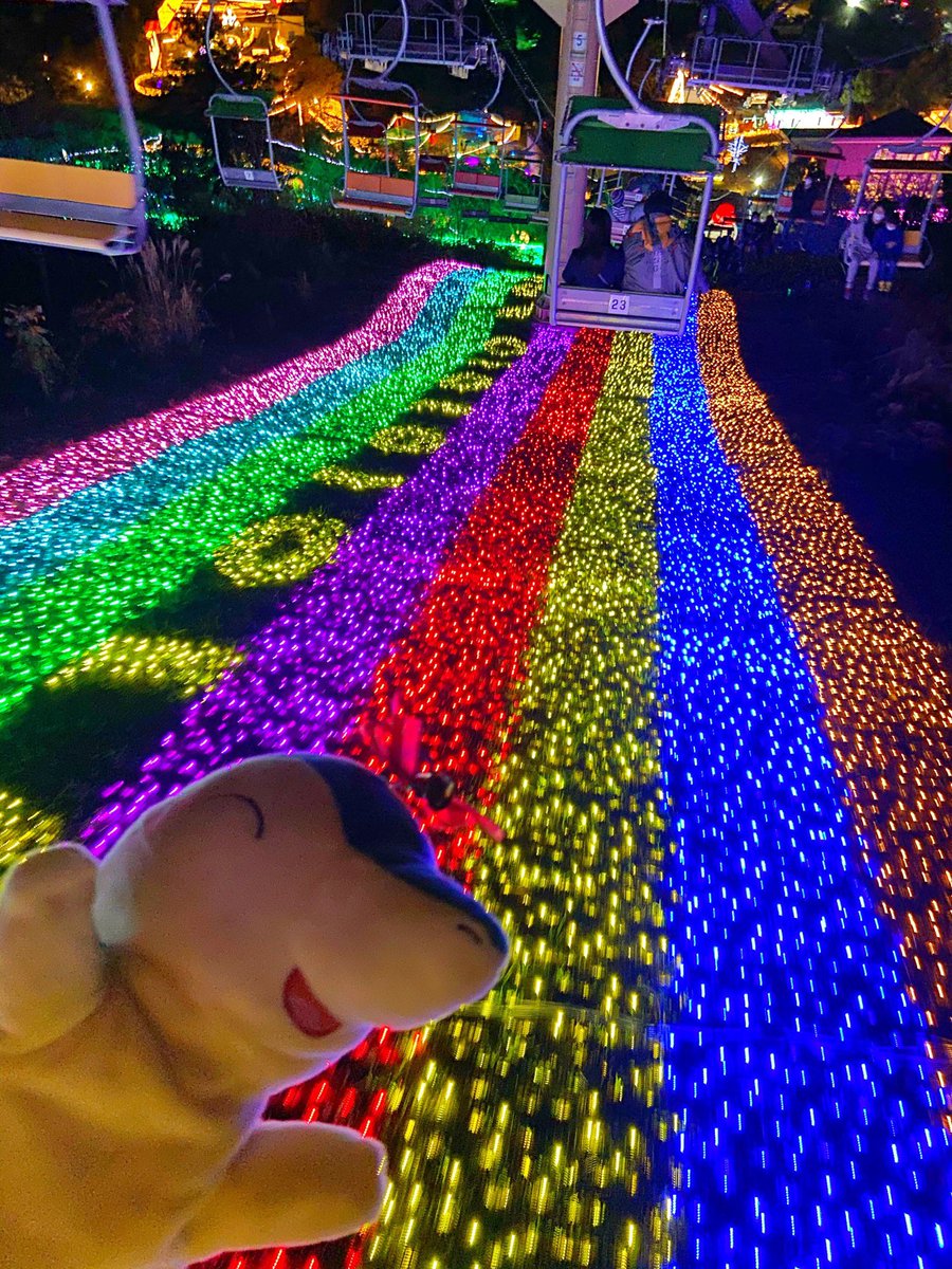 1年分の電飾を見た！イルミも最高⚡️✨ ピカチュウの電気で灯されたの