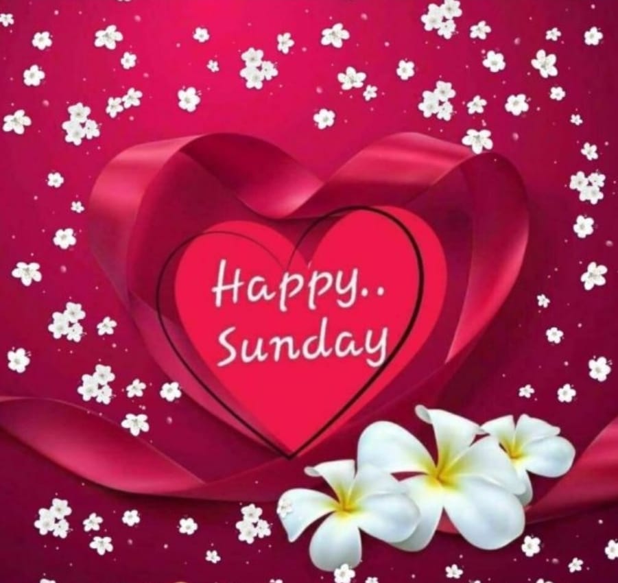 Happy Sunday
