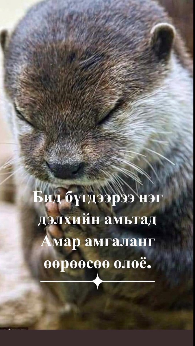 Гомболүдэв.К (@gomboludev) on Twitter photo 