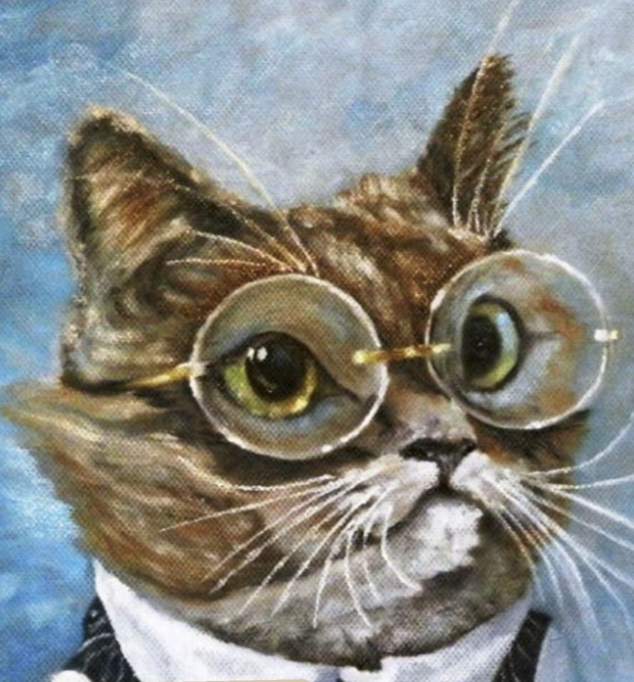 Кот ученый