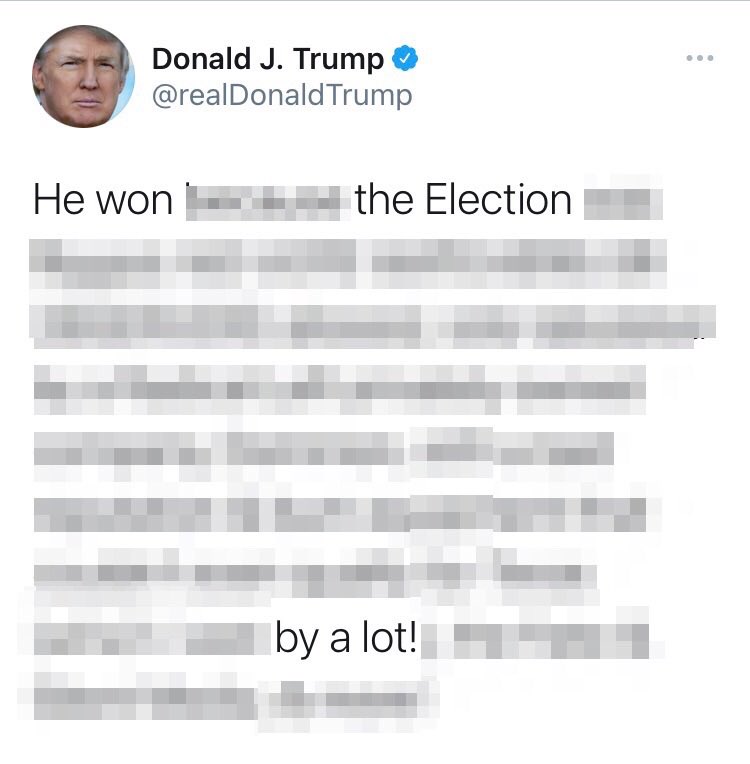 His tweet but with most of the words fuzzed out so it now reads “He won... the election... by a lot!”