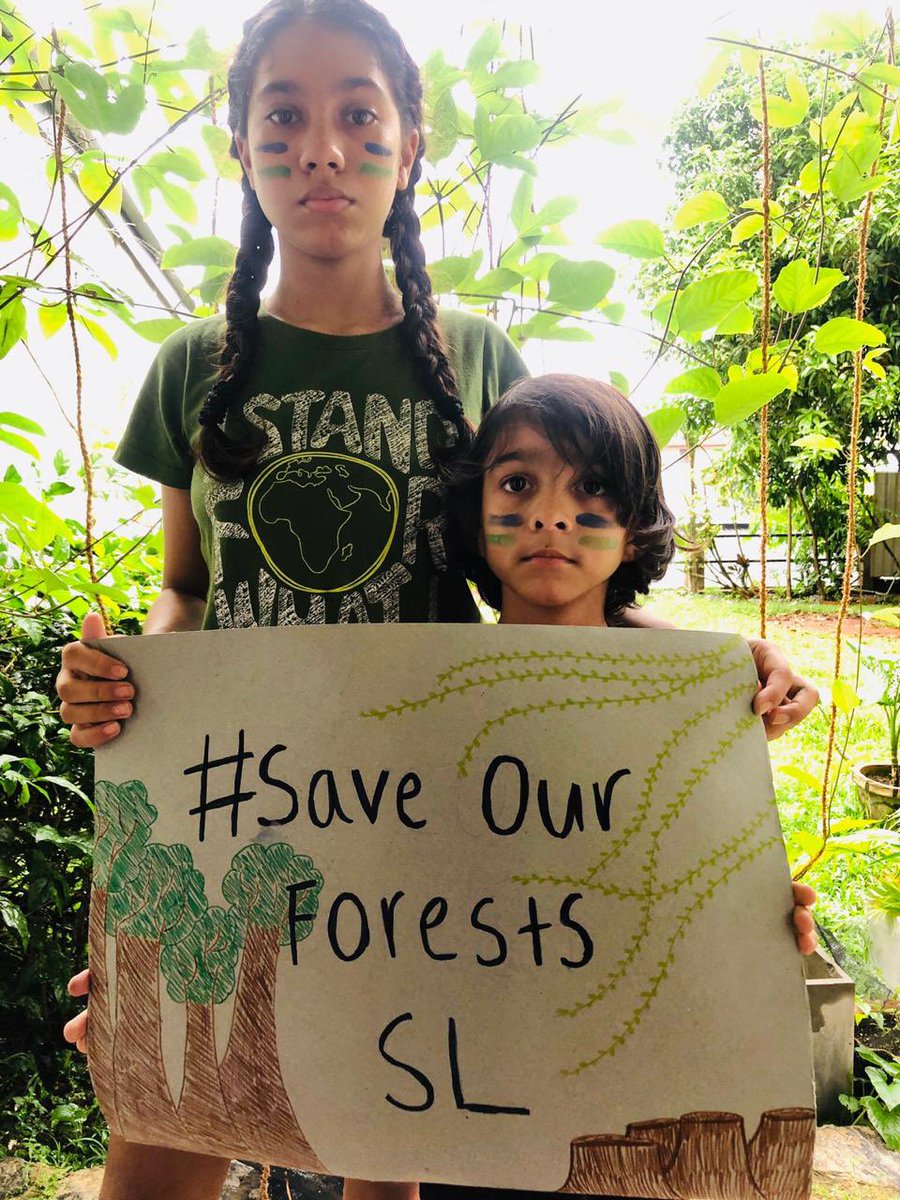 ForestSri's tweet photo. Please share a photo to help raise awareness of the risk to 700,000 hectares of tropical forest in #SriLanka. We need to reinstate the protection of our Other State Forests now.
#SaveOurForestsSL
Photo by @earthguardianz
@lizwathuti @vanessa_vash @GretaThunberg https://t.co/qMt2cg9fog