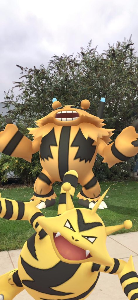 Mausmaus1976's tweet photo. Den #PokemonGOCommunityDay zuhause gespielt aber #Elektek ist ein Ballfresser 😝 daher nur 2 Stunden gespielt.
Ein perfektes für PvP und ein 96er 😎
2 mal Glückstausch 🤗
#PokemonGO #GOsnapshot https://t.co/bZ9wNPgcyH