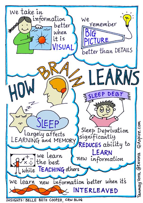 While everyone learns slightly differently, there are some similarities in the way our brains take in new information.

Sketchnote via <a href="/tnvora/">Tanmay Vora ✍</a>, thoughts by <a href="/BelleBCooper/">Belle 🔔 B. Cooper</a>