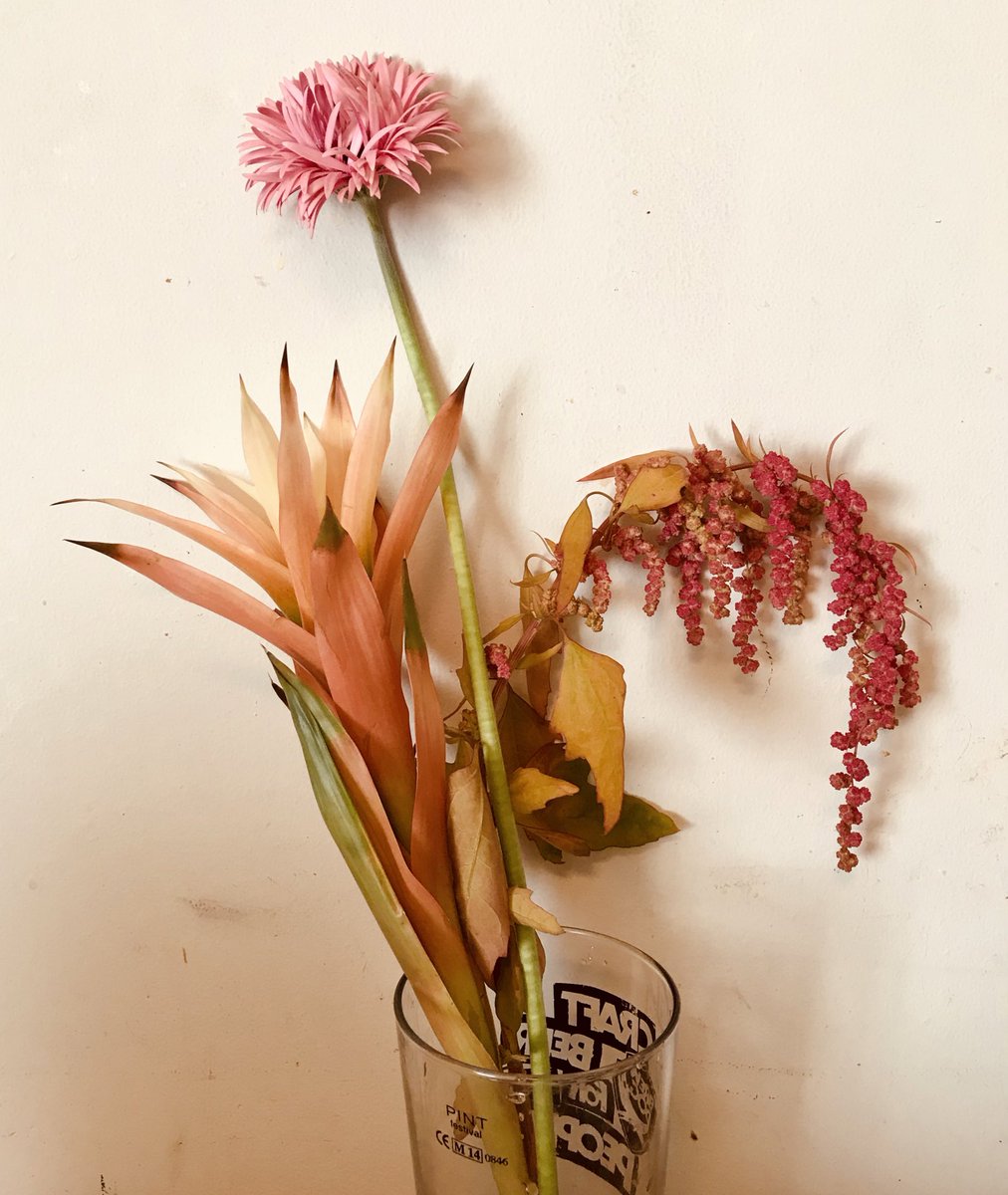 橋本夏 いっちょ丁寧な暮らしでもするか と素敵な花屋でおしゃれ花を買ったところ 花瓶になるものがパイントグラスしかなかったので終了です 橋本夏 いっちょ丁寧な暮らしでもするか と素敵な花屋でおしゃれ花を買ったところ 花瓶になるものがパイントグラスしかなかったので終了です