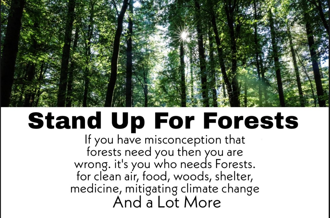 Rakhshinda🌱🌏🍉 tweet media