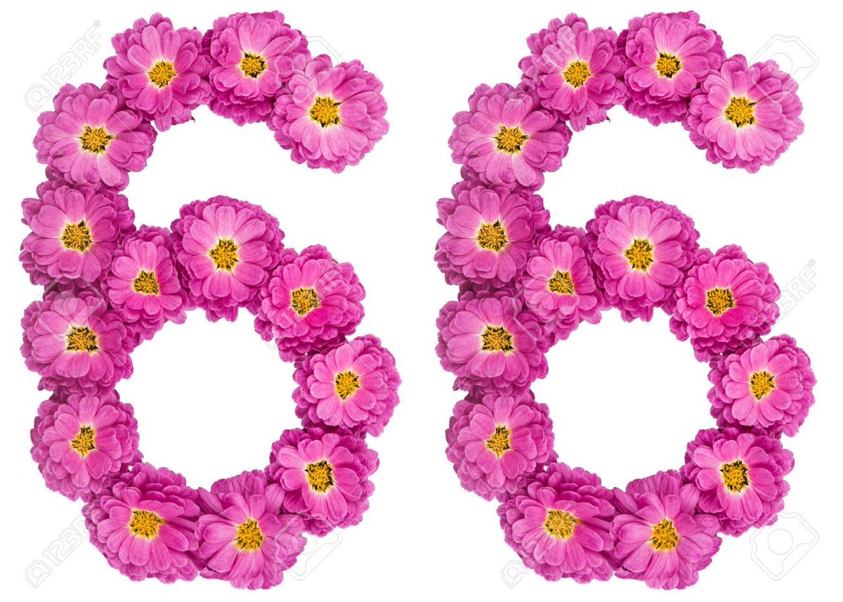 Поздравление с днем рождения 66 летием. Цифра 6 из цветов. 66 Красивая цифра. Цифра 6 с цветочками. Красивая цифра 6 из цветов.