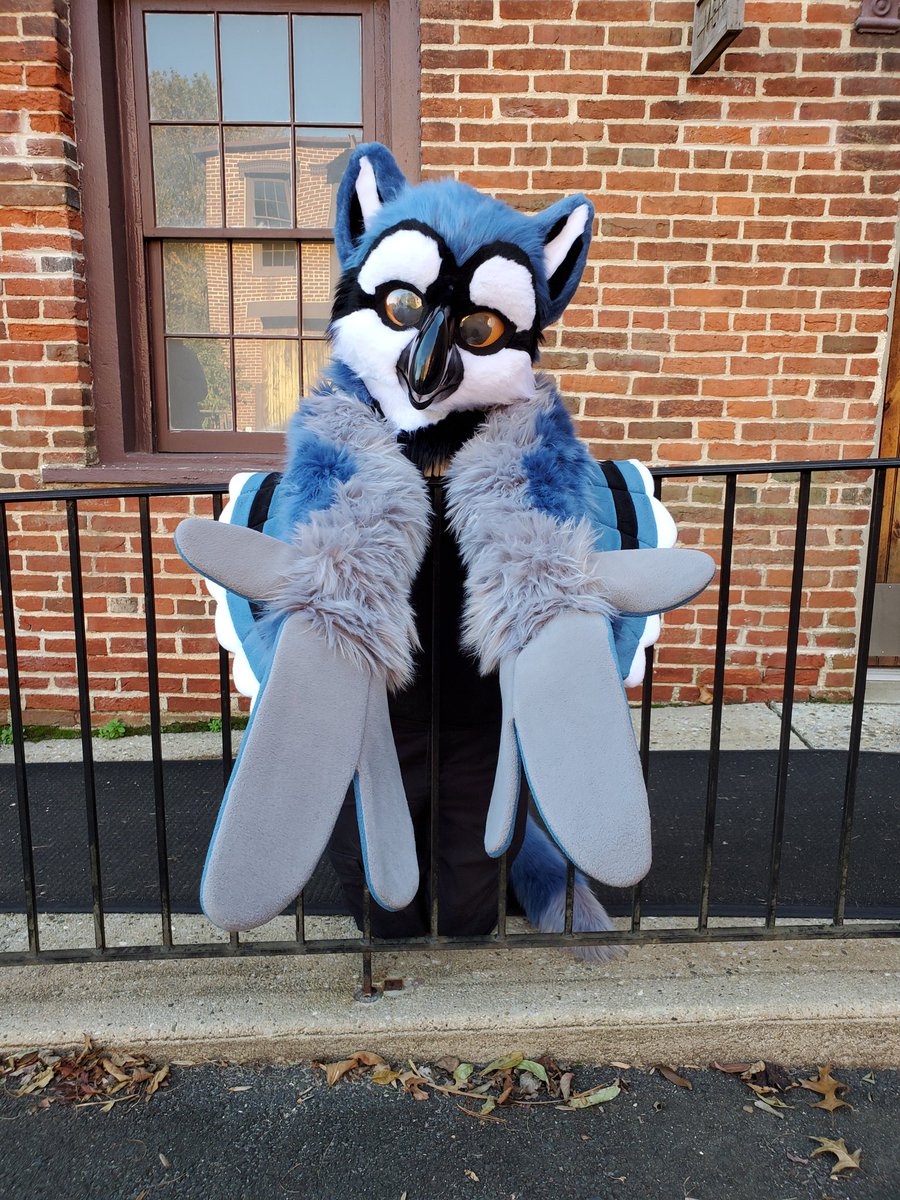 Icy_Paw's tweet photo. #fursuit #furry #costume #fursuitmaker #fursuitforsale #icypawproductions #gryphon #icypawproductions #birdcat #gryffin https://t.co/fZJzJx1jPc
