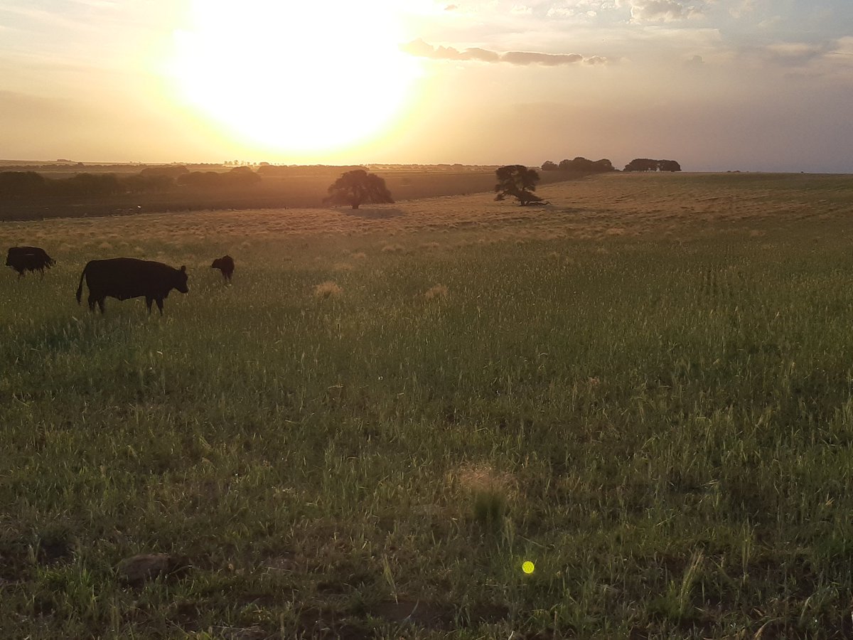 Postales que nos regala La Pampa ..