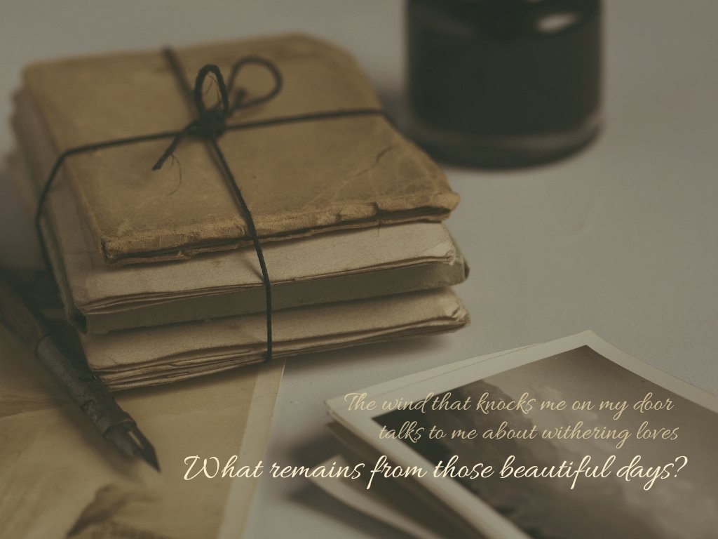 ⠀⠀

⠀⠀⠀⠀⠀⠀⠀⠀⠀𝘹𝘹. 11. 2020

⠀⠀⠀