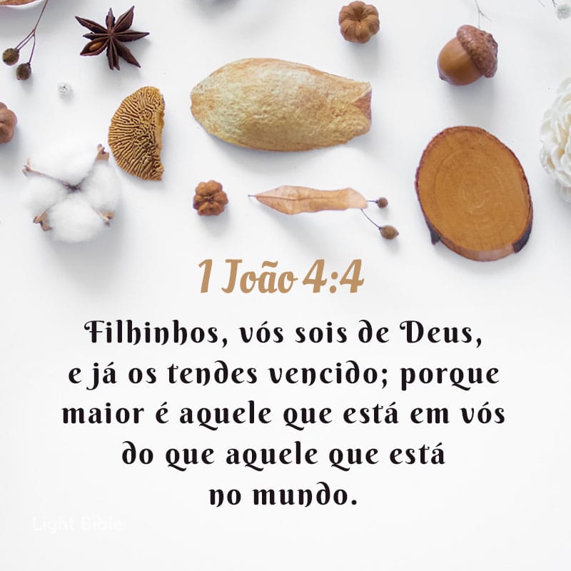 CleodeDeus's tweet photo. Bom dia 🌹☺️ https://t.co/QFyYtGvw2W