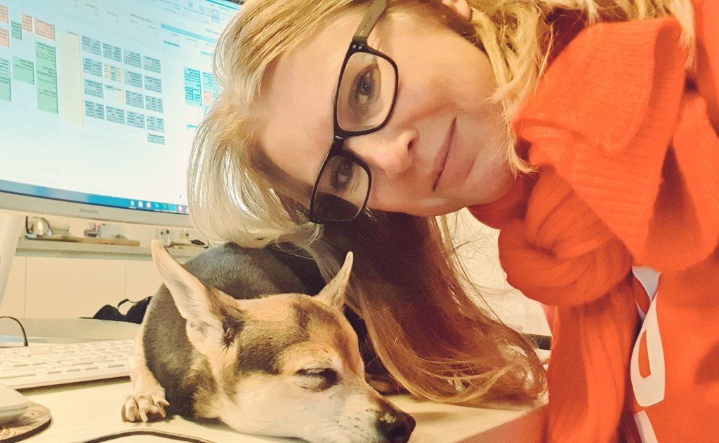 Mijn nieuwe collega is zó gezellig 😉. Iets met werk- en sierpaarden. Lazy sunday!