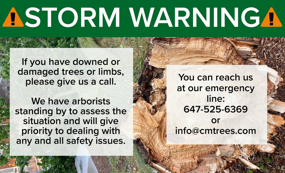 CM_Trees's tweet photo. High winds are expected today! If you have downed or damaged limbs or trees give us a call on our emergency line - 647-525-6369 or email us at info@cmtrees.com! https://t.co/WoHuE2JYhb