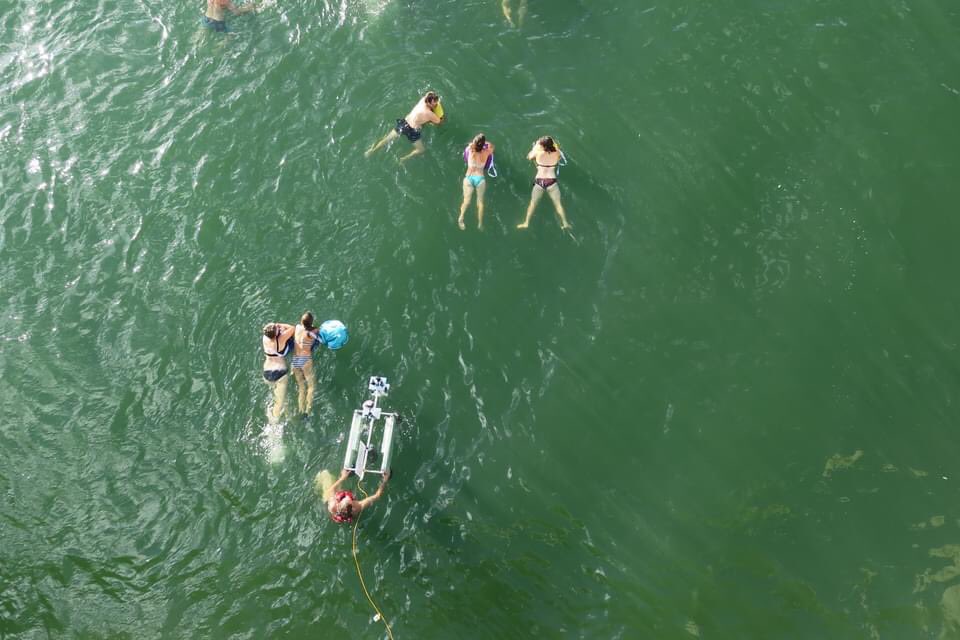 paolapierotti's tweet photo. #storieurbane #swimcity con #AndreasRuby oggi su .Lifestyle @sole24ore Il #nuoto urbano: spazi pubblici e pratiche che cambiano i comportamenti e rianimano “le città a rischio”, come recitava il titolo di @tostratosferica #UtopianHours @secolourbano @lucaballarini https://t.co/SLNEG1BgCr