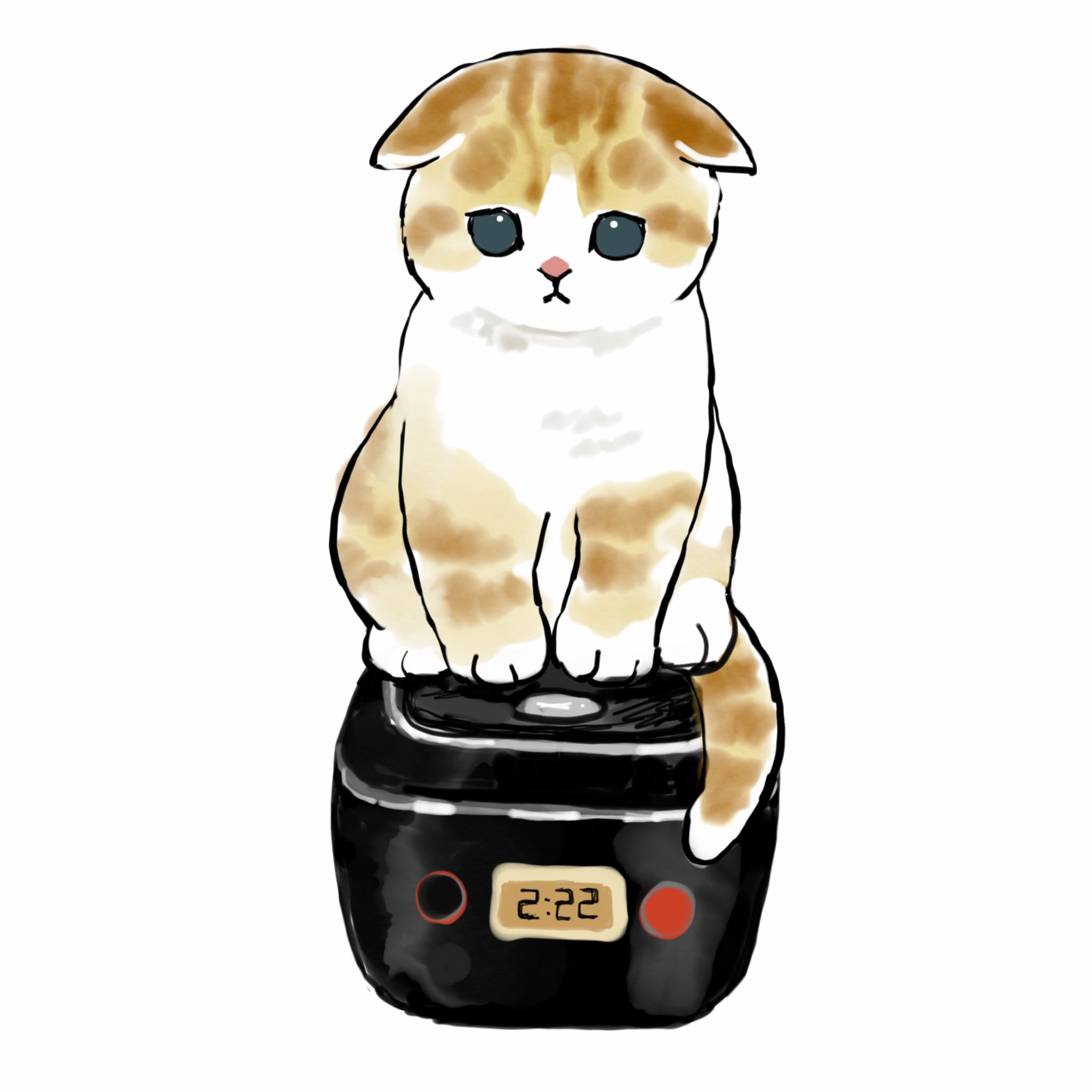 تويتر ぢゅの على تويتر 0skxpniren9atm1 炊飯器の上も可愛いです T Co Ep4wjofvlk