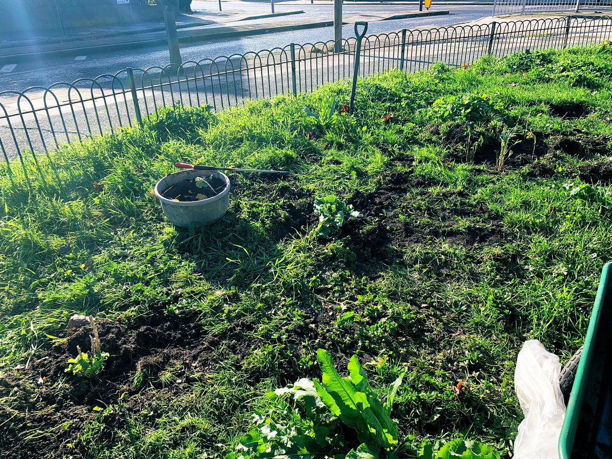 Clare Burke-McDonald tweet media