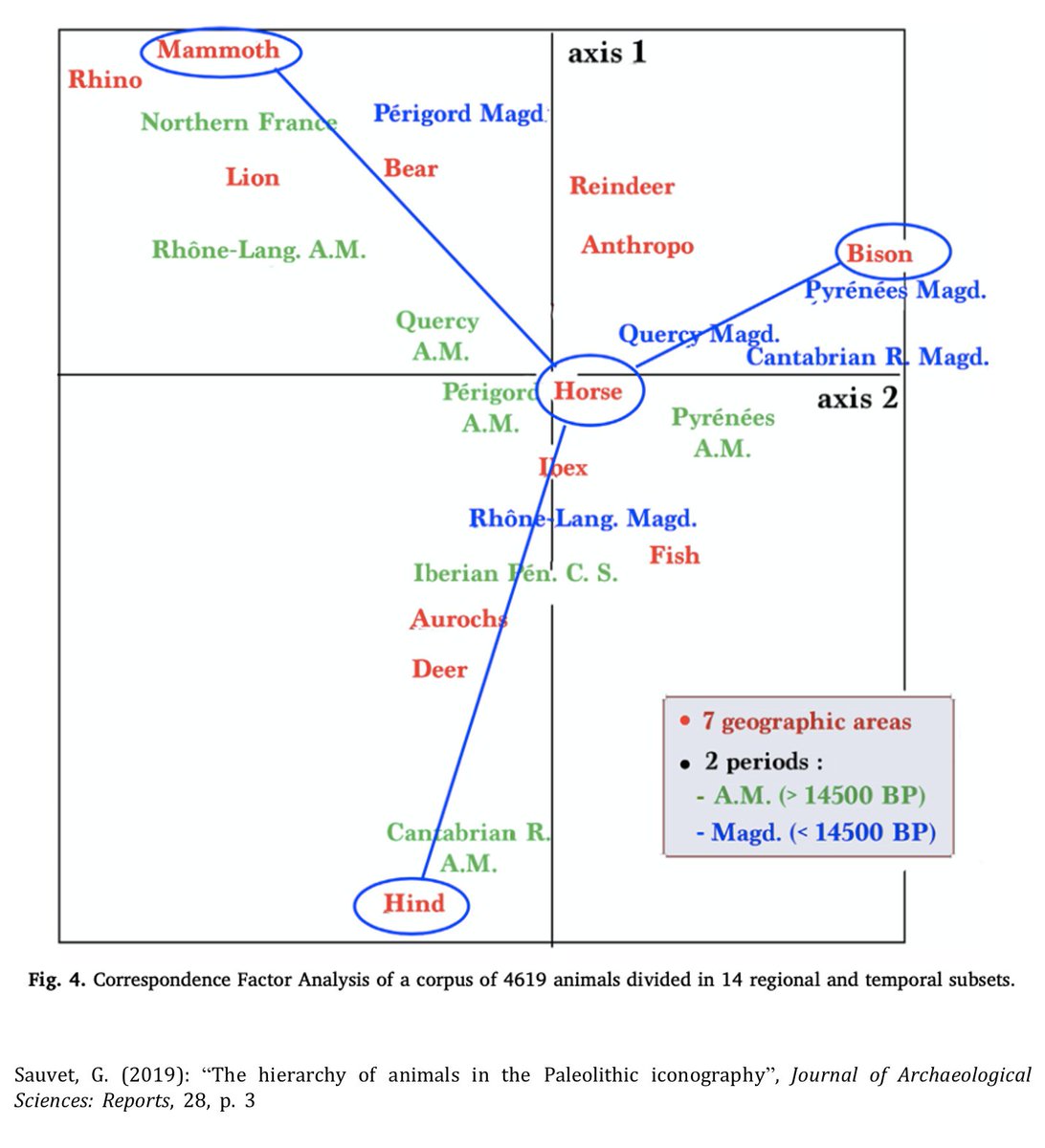Los estudios realizado por G. Sauvet concluyen que el équido se sitúa en un orden distinto dentro de la iconografía paleolítica. La estadística multivariante indica que el caballo rupestre no está marcado geográfica ni cronológicamente: aparece en todas las regiones y periodos 