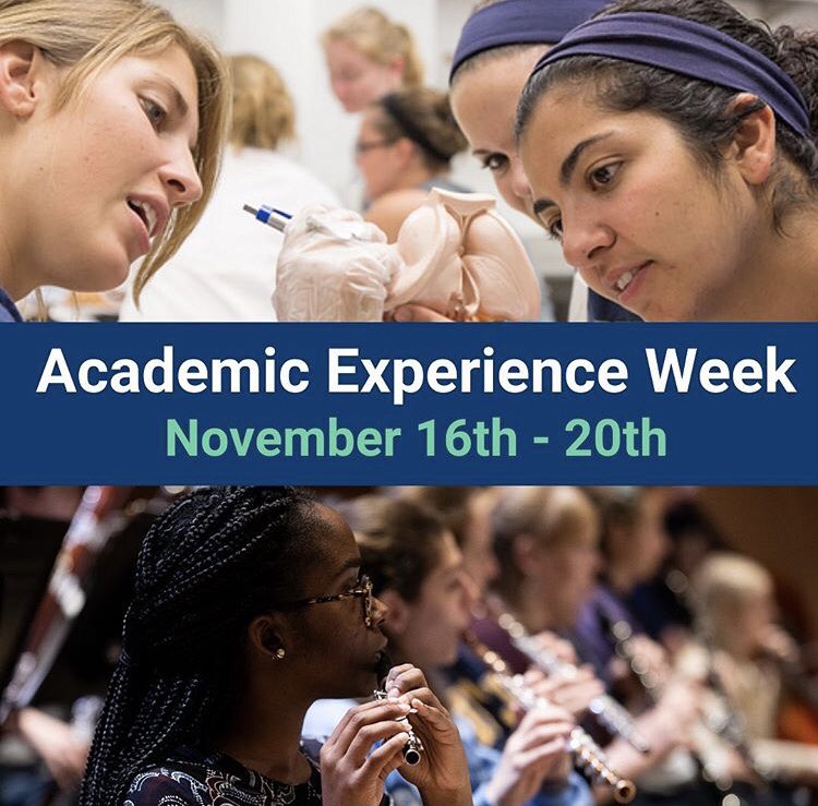 Ithaca Admission tweet media