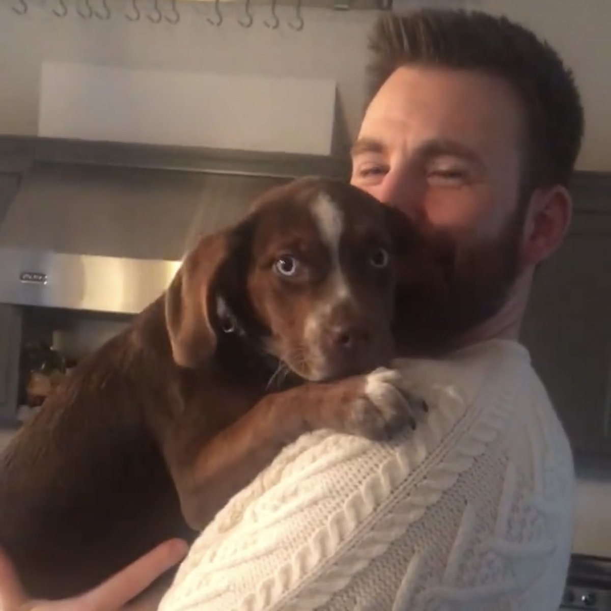 I CANNOT DEAL WITH CHRIS EVANS ANYMORE <a href="/FBI/">FBI</a> LOCK THIS MAN UP FOR HOLDING MILLIONS OF HEARTS CAPTIVE