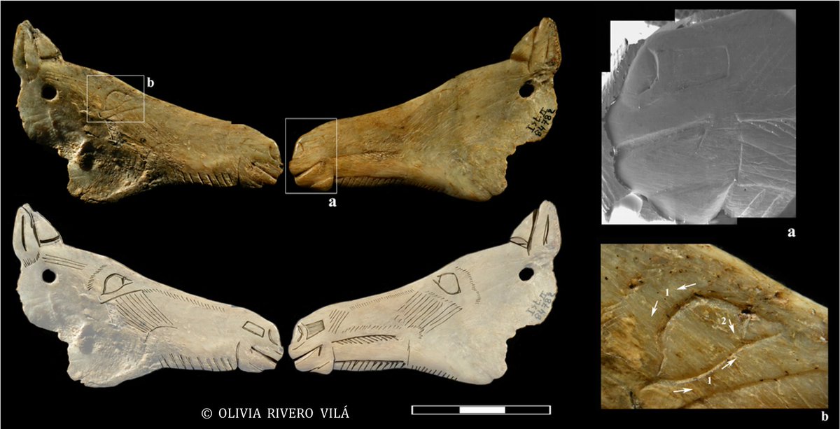 Dentro del arte mueble podemos destacar los numerosos contornos recortados tratando de reproducir la cabeza del équido. Un análisis estadístico muestra que pueden diferenciarse por su factura técnica y la presencia de detalles como el ojo o pelaje 