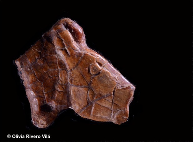 Una de las piezas más increíbles y excepcionales del arte mueble paleolítico la encontramos en Isturitz. Se trata de un prótomo de caballo del Magdaleniense medio, grabado por ambas caras y realizado sobre ámbar, el único ejemplar que utiliza este soporte 