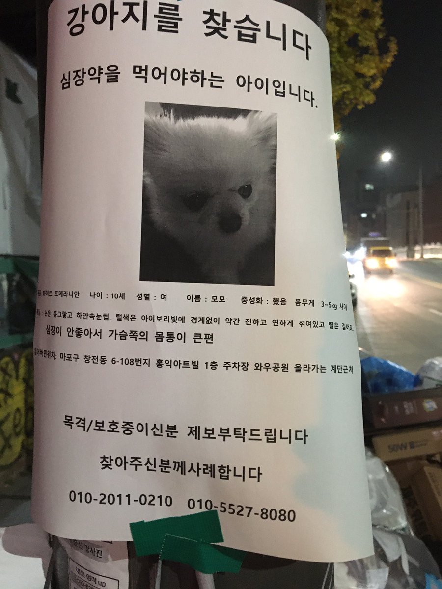 dr_sonovi's tweet photo. 홍대에서 우연히 본 전단지인데 심장약 먹는 아이라 넘 맘이 쓰이네요 모모 빨리 약 먹자 https://t.co/j6mBUrARzL