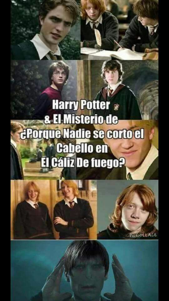 A herdeira das trevas - Capítulo extra : memes de Harry Potter