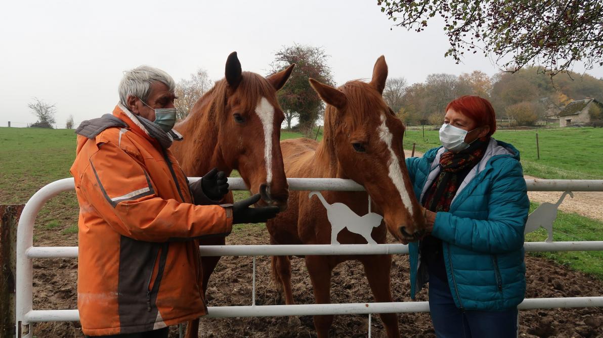 _lunion's tweet photo. #Ardennes Le refuge SOS Équidés de #Floing est en difficulté Ils ont besoin de vous https://t.co/C3oEZeYadK https://t.co/SABGml3xpg