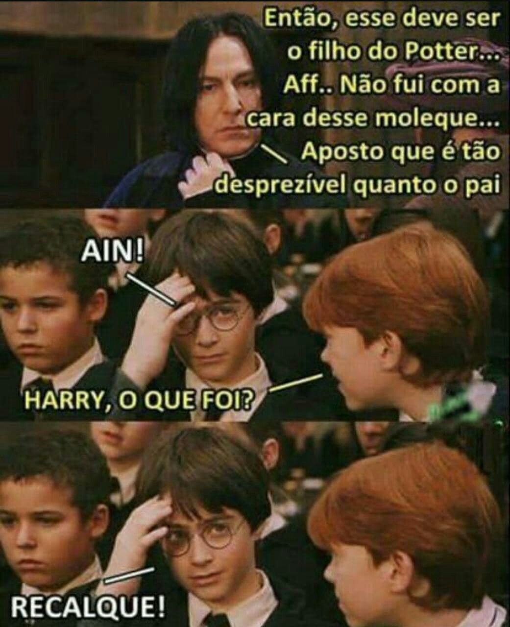 Memes Harry Potter