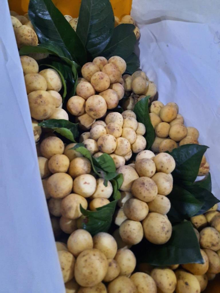 BuahHijau's tweet photo. Nak tahu tak macamana kehidupan seorang penjual buah? 

1. Setiap malam dapat gambar buah yang available untuk borong esok. https://t.co/8RwcjpgwYL