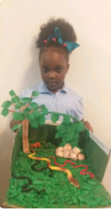 nuttybuddy357's tweet image. Science Projects: Animal Habitats #LearningRemotely @BrowardSTEM