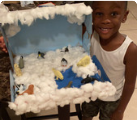 nuttybuddy357's tweet image. Science Projects: Animal Habitats #LearningRemotely @BrowardSTEM