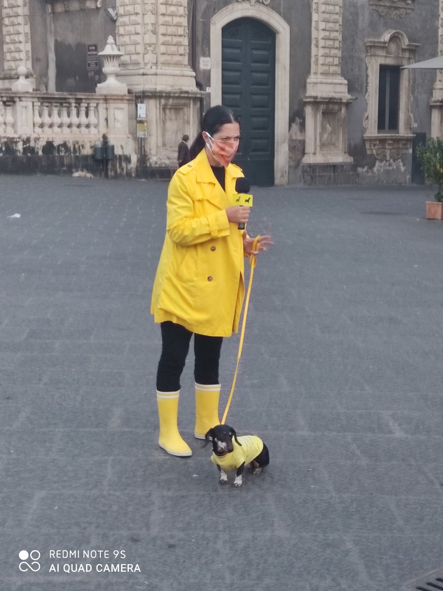 cusval's tweet image. 