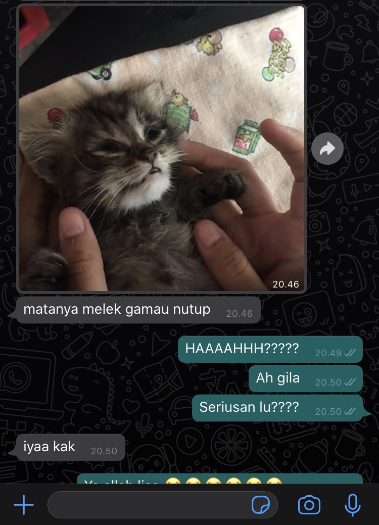 anak bidan 🎈 tweet media