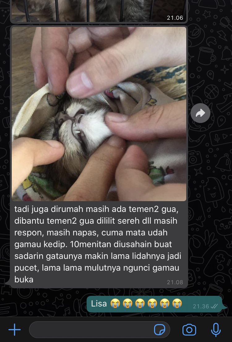 anak bidan 🎈 tweet media