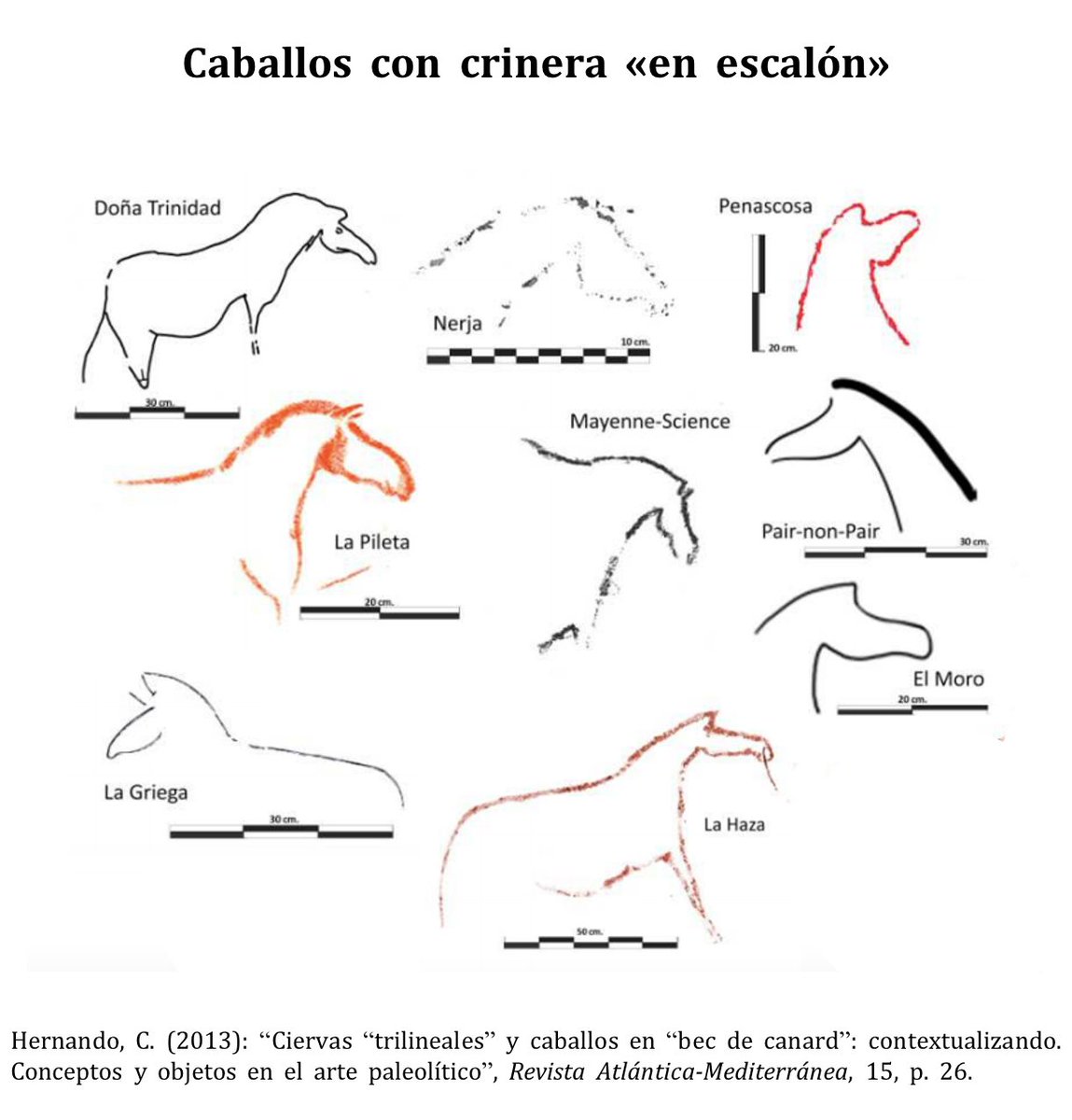 La crinera es un rasgo anatómico diferenciador del caballo. Pueden ser en «escalón» (Premagdaleniense); en sucesión de líneas (Mag. medio); y con doble línea (Mag. superior)