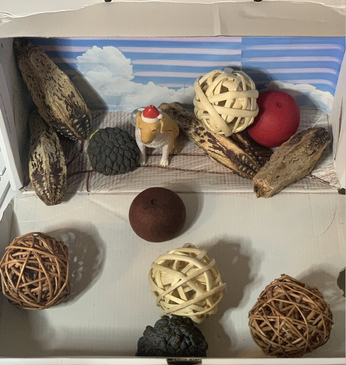 nuttybuddy357's tweet image. Science Projects: Animal Habitats #LearningRemotely @BrowardSTEM