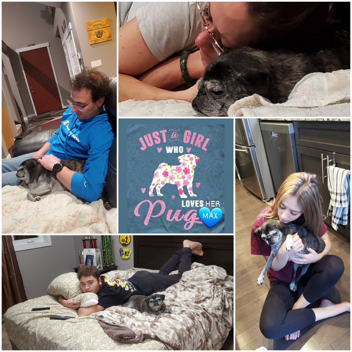 jamaracing's tweet photo. our hearts r broken 💔 today Max crossed the 🌈 bridge he will b missed 😭 & will forever b in our hearts 💙
WE ❤ U
#puglife🐾 #firstfamilydog https://t.co/7V7zA5NByW