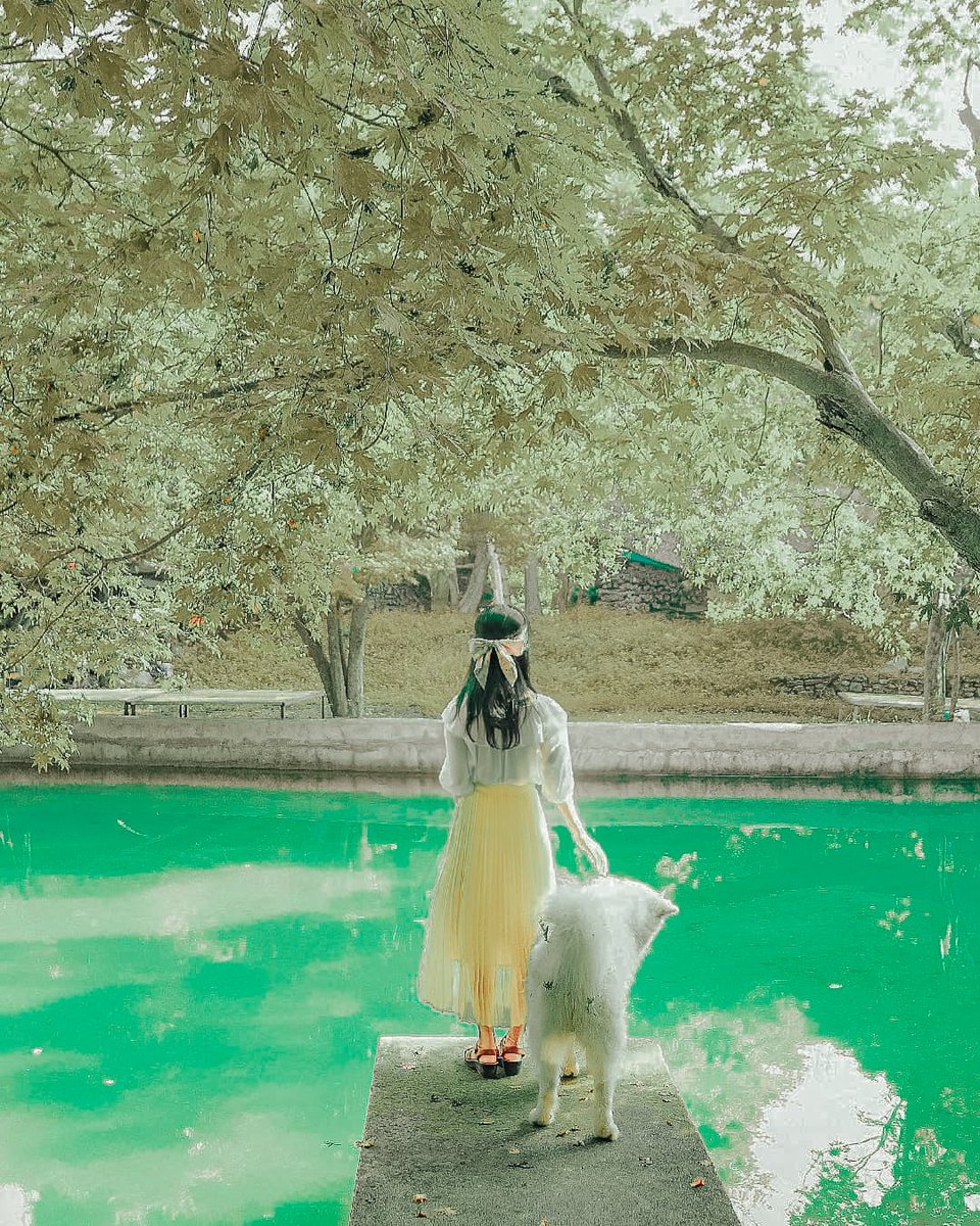 96Naochan's tweet photo. Preset GRATIS #NoPassword
CaraDownload Cek Pinned

🔸Nama presets: Presets 68
🔸Link  Download: 
🔸https://t.co/9UAsiKSDHA

Source: @96naochan
#freepresets #PresetsGratis https://t.co/Z7lFIfoVg7