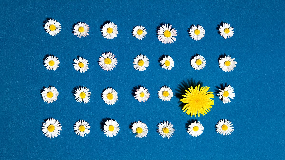 MarketChorus's tweet photo. It's essential to root out bias at every stage of your AI-development process. #AIethics #AI https://t.co/mOa6vYtGeS https://t.co/7qZvIVU1S6