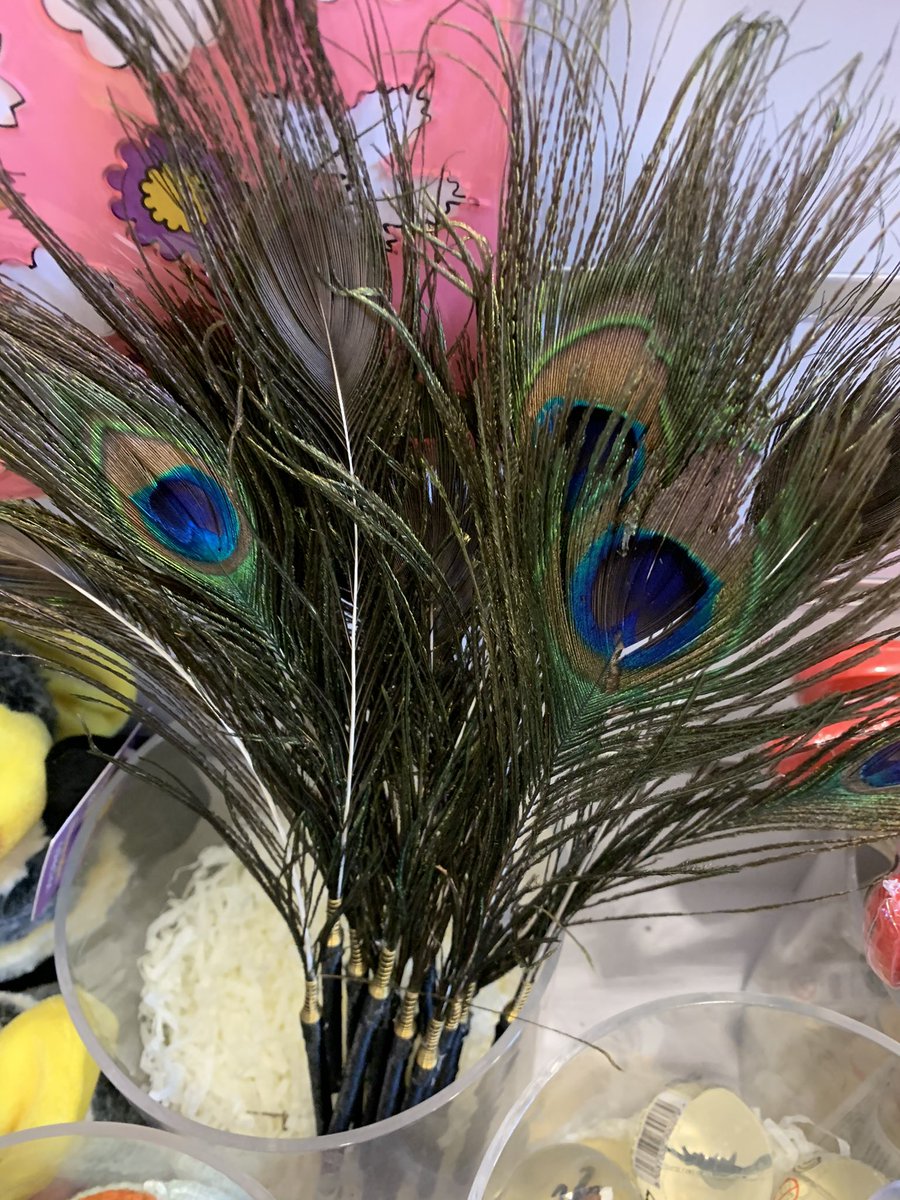 manxheritage's tweet photo. Last one! #ronseyychooish 

10. Fedjag - Feather 

We’ve had a fantastic time joining in with the online Manx Language scavenger hunt this weekend! 

Gura mie ayd @Cooish2 

#LearnManx #Manx #Language #isleofman #ManxLanguage https://t.co/FwMnSOCimW