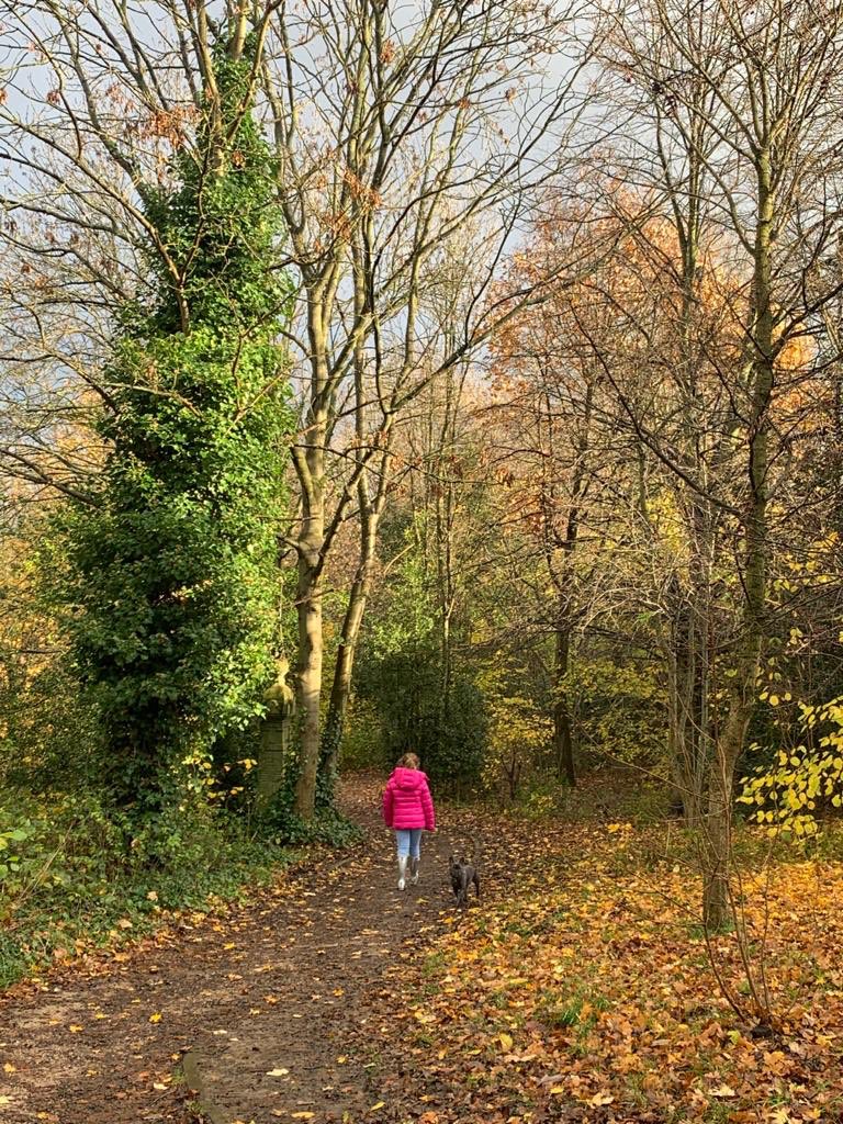 maternitylawyer's tweet photo. Day 11: spending time with those who make you smile is vital for our mental health. I spent my weekend with my best friend Sophie. Sometimes walkies & her throwing my chuckit ball was all I needed to pick me up. Shame I got bored & lost yet another mini tennis ball. #TipsfromMrJ https://t.co/3zE1jy7zS7