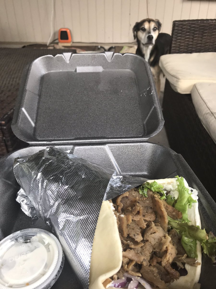 JrzyGrlinGA's tweet image. I think someone is jealous of my amazing gyro from #yiayia. So good!