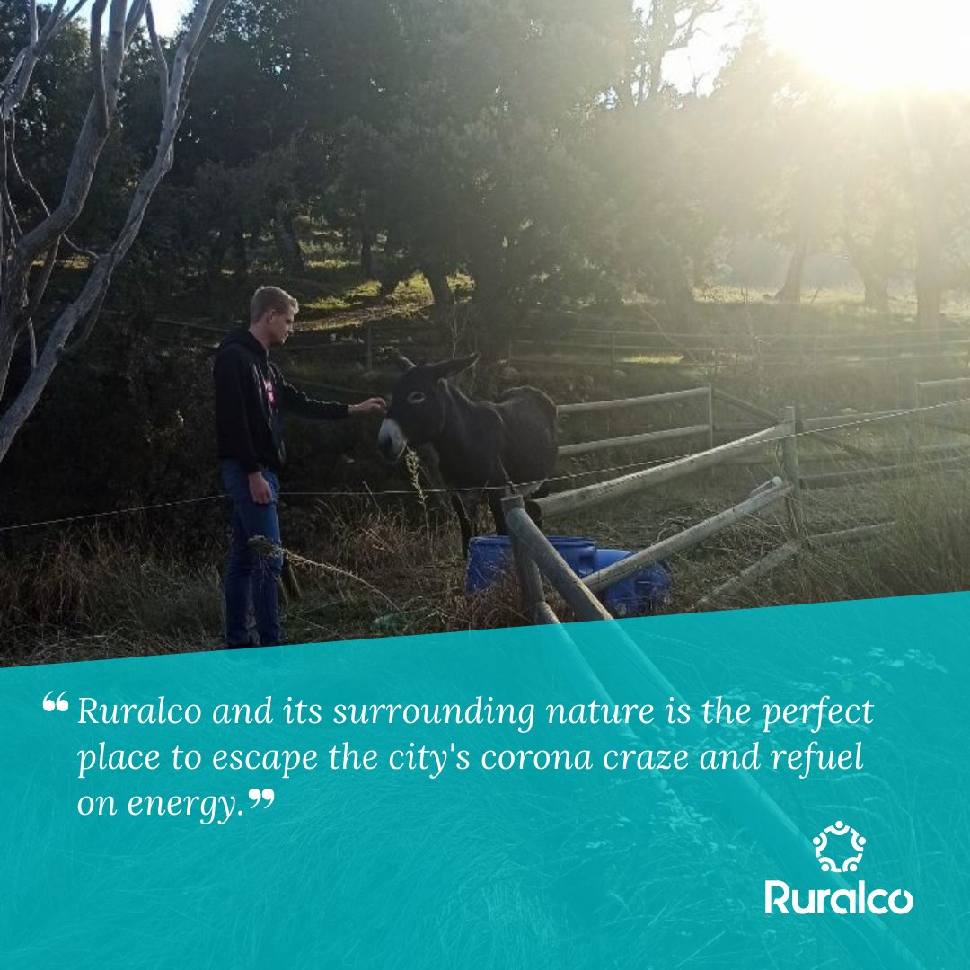 Ruralco_live's tweet photo. Justus is the #coliver who has spent more time here so far. He came from Germany with his van and since then he hasn't stopped enjoying the surroundings! We will surely miss him the day he leaves us but until then there are still many hikes to go on and drinks to share! #coliving https://t.co/DTxUYnNtaM