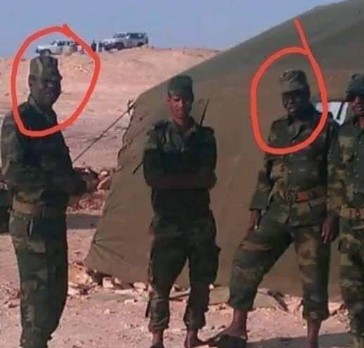 جزائر الجنرالات لم تكتفي بالديبلوماسية المشينة ضد المغرب بل قاموا بإحتضان ميليشيات البوليزاريو الإرهابية وجلبوا المرتزقة من إفريقيا جنوب الصحراء ليحاربوا ضد المغرب ، تدفع جزائر الجنرالات من مال الشعب الجزائري لتدريب المرتزقة ومدهم بالسلاح والتدريب والمال للحرب ضد المغرب .