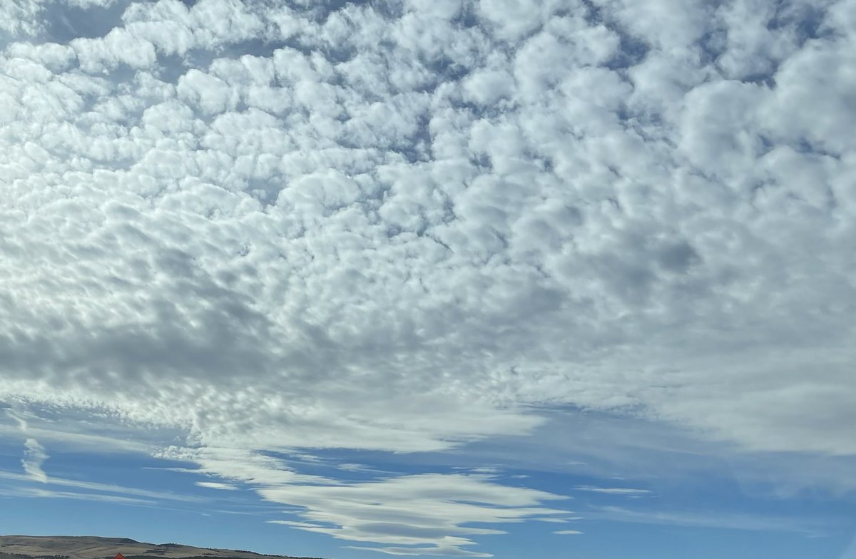 Scott Johnson tweet media