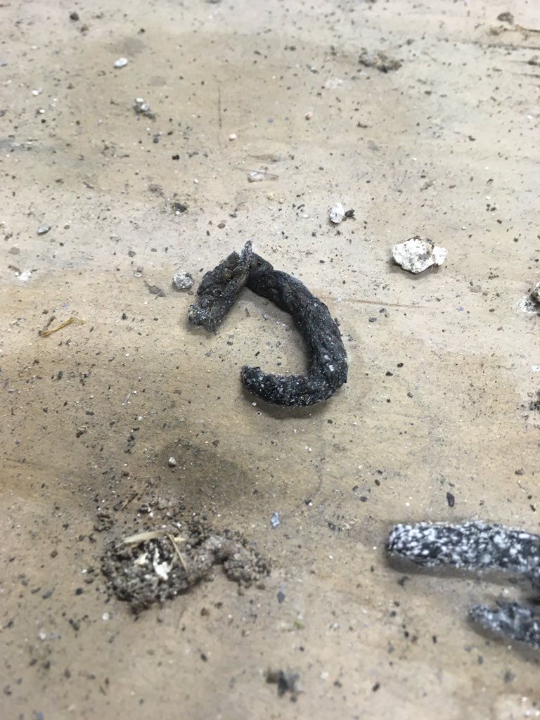 TraceyHanwell's tweet photo. Trying to identify this scat.....anyone know? #poop #scat #whatlaidthis #scotland #notsniffedit #wildlife https://t.co/vBtdA12be9