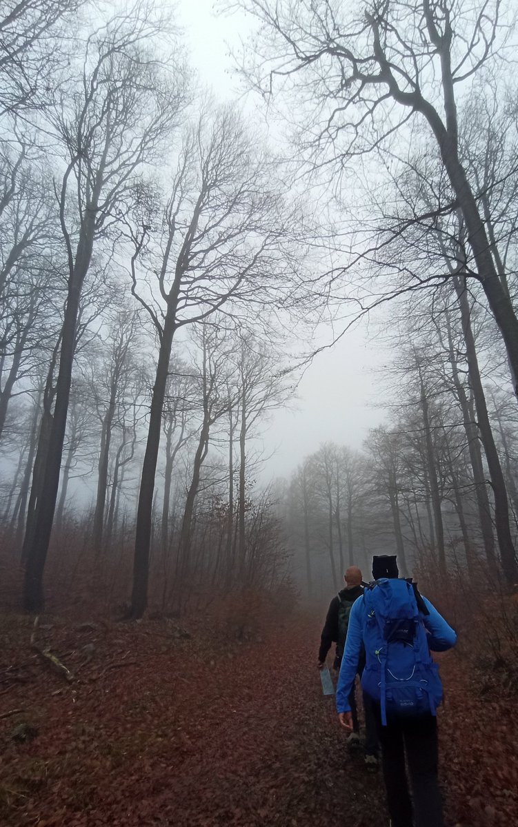 veleb_it's tweet photo. Draga lajno ponosan na sebe 💪
Hvala svima na podršci a posebno obitelji #alpineguide #hikingfamily #hiker #hikingadventures #hiking https://t.co/CS3kSTlyoW